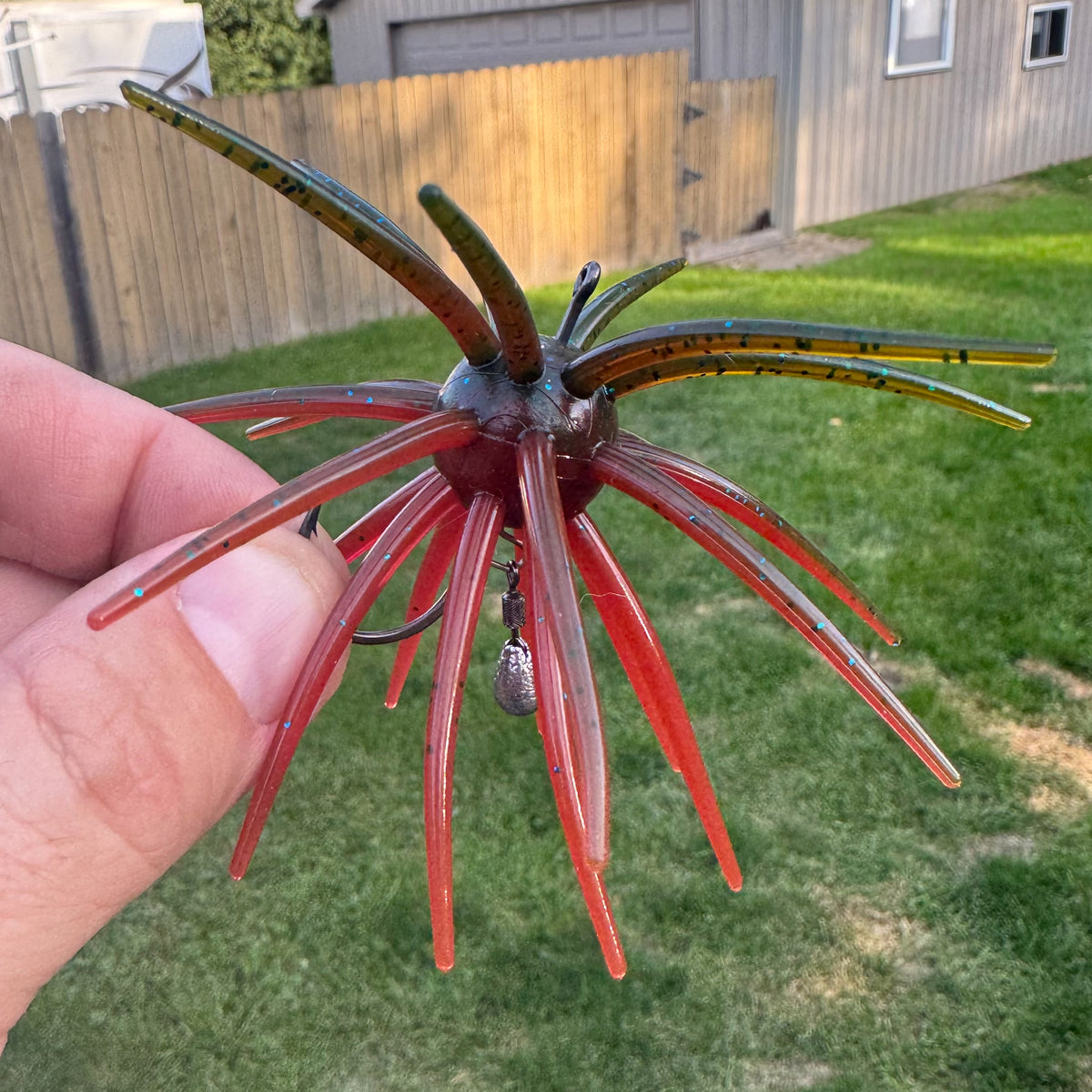 Urchin Hook