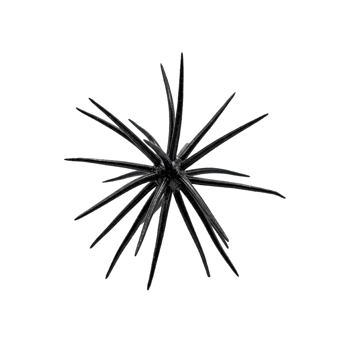 NUCLEUS Urchins